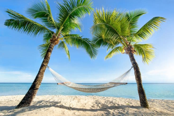 Plage tropicale aux Antilles avec hamac entre deux palmiers